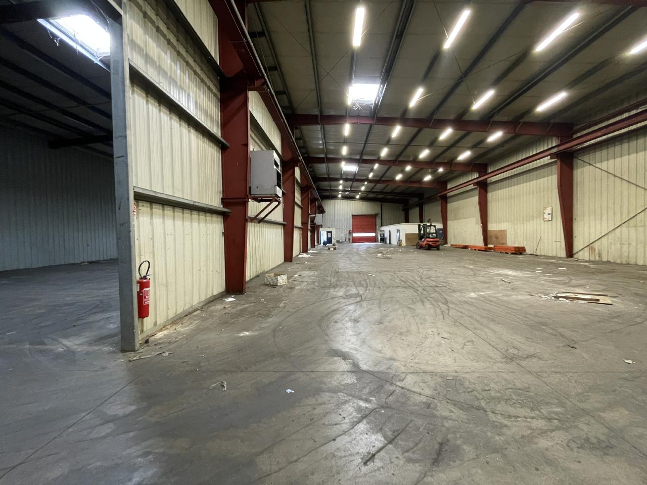 Local d'activité Fegersheim 2138m² Vente local d'activité Fegersheim Bas-Rhin OVACT2534046 5